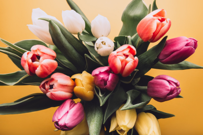 Image of spring flowers